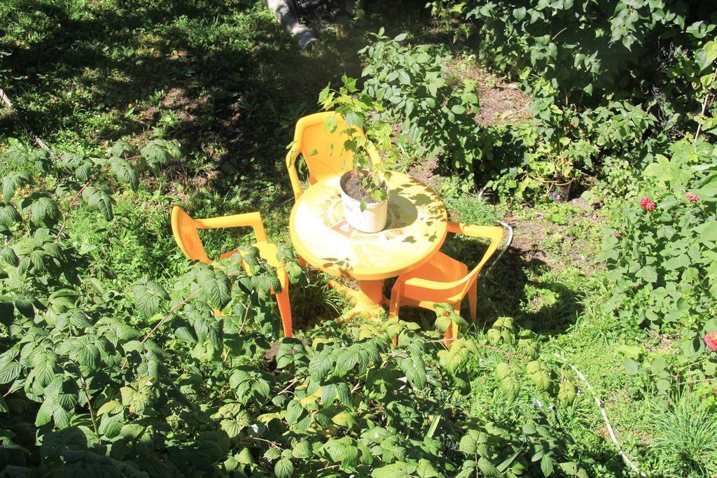 Dodo Japaridze Guesthouse Mestia Dış mekan fotoğraf