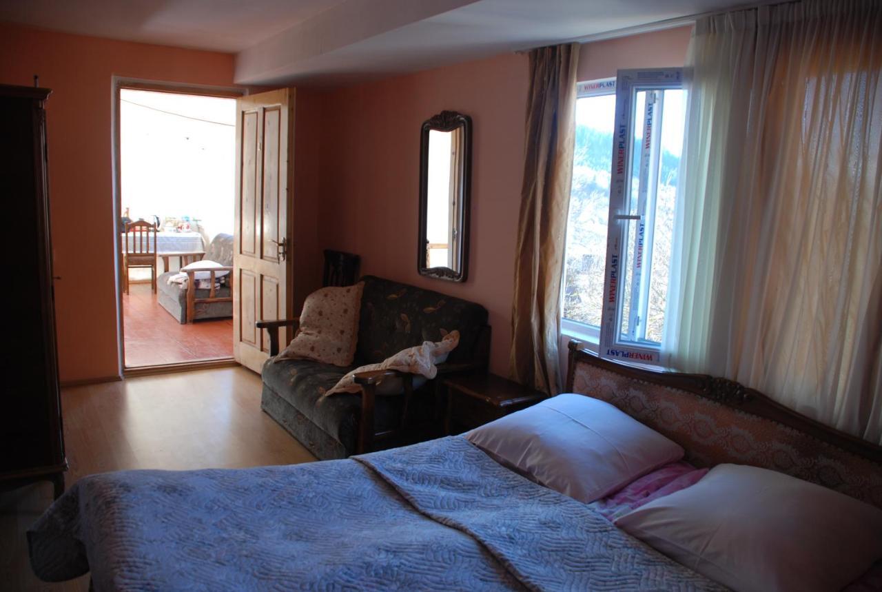 Dodo Japaridze Guesthouse Mestia Dış mekan fotoğraf